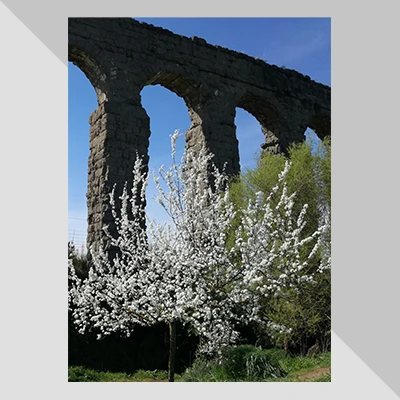 Elisa Bucci | Primavera al Parco degli Acquedotti
